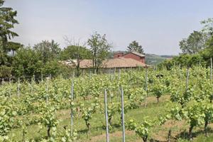 Immobile in asta di 179 m² con 3 locali a Vignale 