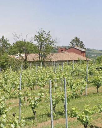 Immobile in asta di 179 m² con 3 locali a Vignale 