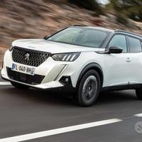 Ricambi musata porte Peugeot 2008