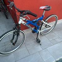 Bicicletta
