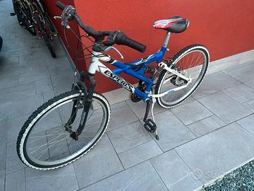 Bicicletta