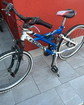 Bicicletta