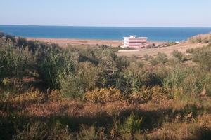 Terreno agricolo