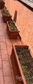 Vasi in Terracotta