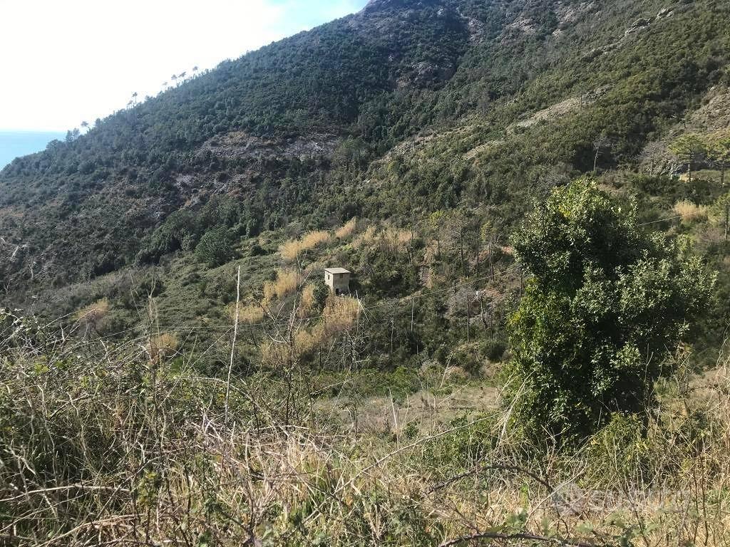 Terreno di 165000 m² a Levanto - Vista 5