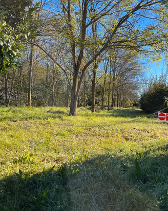 Terreno agricolo a bosco