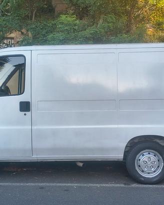 Camper puro