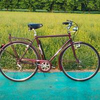 Bici uomo classica 28