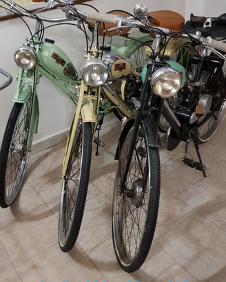 Aquilotti Bianchi