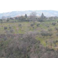 Terreno Agricolo