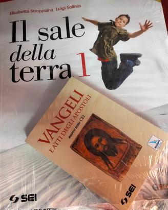 Il sale della Terra 1
