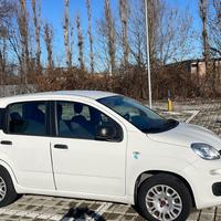 Fiat Panda 1.2 GPL