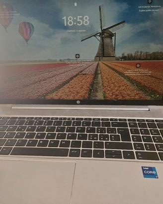 portatile HP Probook 450 G8 512gb ssd, Windows 11