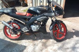 Aprilia tuono