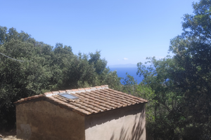 Rudere Marciana Elba - Podere Cadonno