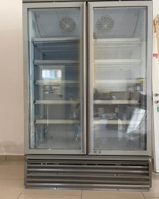 Congelatore Epta Verticale 2 Ante