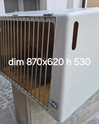 gabbia per trasporto cani in vetroresina