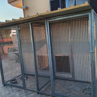 box per cani coibendati