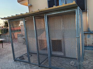 box per cani coibendati