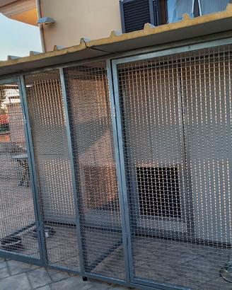 box per cani coibendati