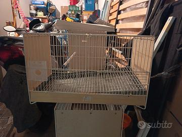 gabbia da cm55 domus mulinari