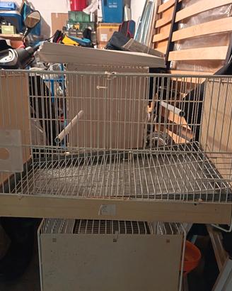 gabbia da cm55 domus mulinari