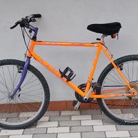 Mountain bike Marin da uomo.