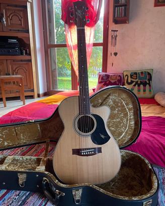 Maton Signature Joe Robinson