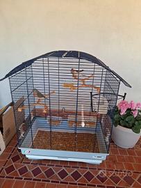 Diamantini piu gabbia