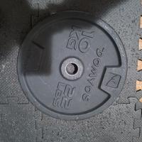 Dischi in ghisa palestra 28mm