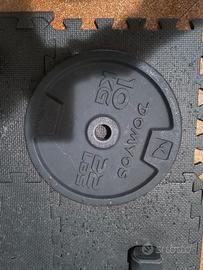 Dischi in ghisa palestra 28mm