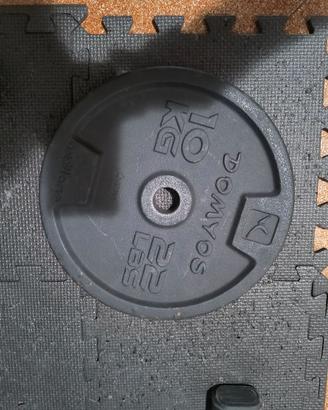 Dischi in ghisa palestra 28mm