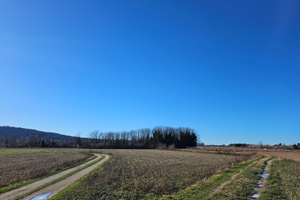 Vendo terreno agricolo