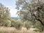 Immagine 16