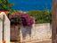 Immagine 15