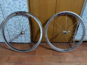 Ruote Campagnolo SHAMAL