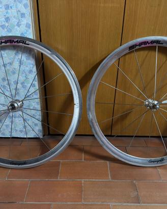 Ruote Campagnolo SHAMAL