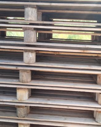 pallet 130x110