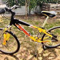 Bicicletta ragazzo cerchi “24