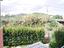 Immagine 12