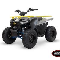 Lem Motor Quad Hummer 125cc Con Portapacchi