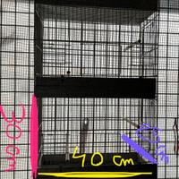 Gabbia batteria per piccoli volatili