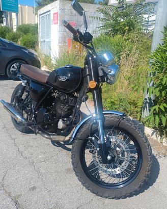 Mash 250 TWO FIFTY