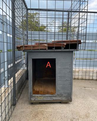 Cuccia per Cani grandi