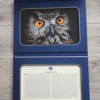 Calendario fotografico da parete 2024 Le stagioni