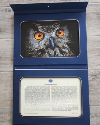 Calendario fotografico da parete 2024 Le stagioni