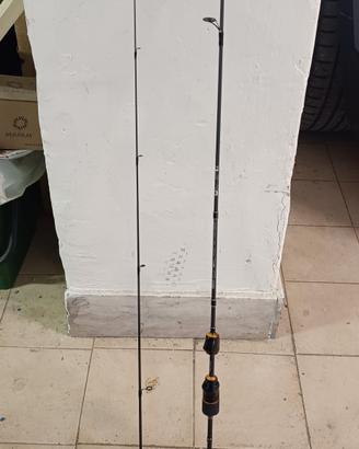 Canna spinning trout area