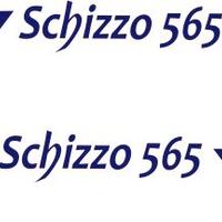 KIT ADESIVI PER BARCA SCHIZZO 565 OPEN