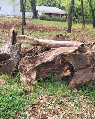 ciocchi legno 