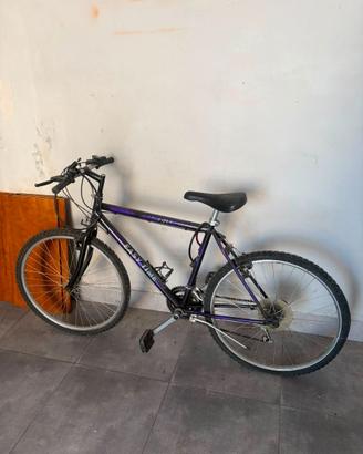 bici in buone condizioni